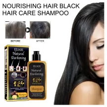 Eelhoe Natural Darkening Shampoo