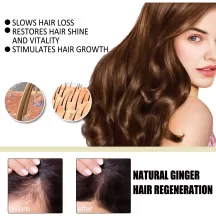 Eelhoe Ginger Shampoo For Hair